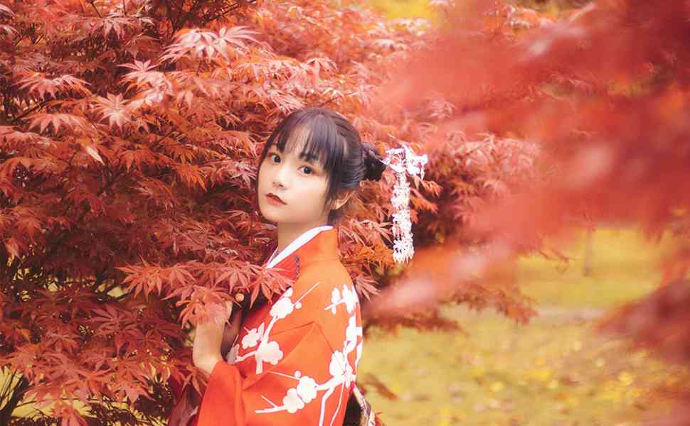 从机车女神到诈骗主谋：四会冯妮飞的人设崩塌与杀猪盘真相